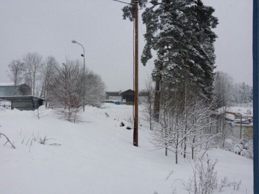 20150203_123258.jpg image