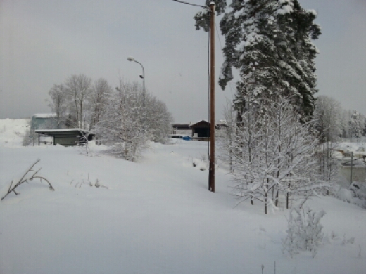 20150204_103258.jpg image