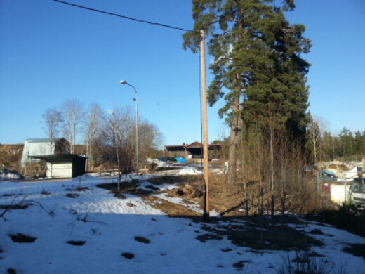 wp-1424957886437.jpg image