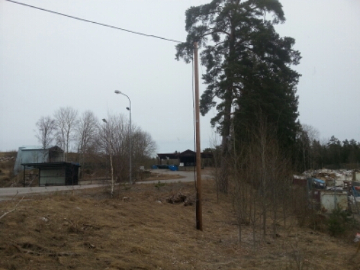 20150320_100212.jpg image