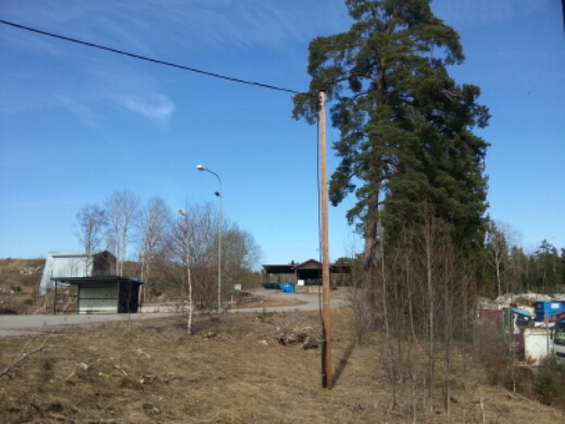 20150408_142310.jpg image