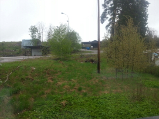 20150513_105601.jpg image