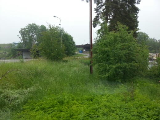 20150618_074554.jpg image