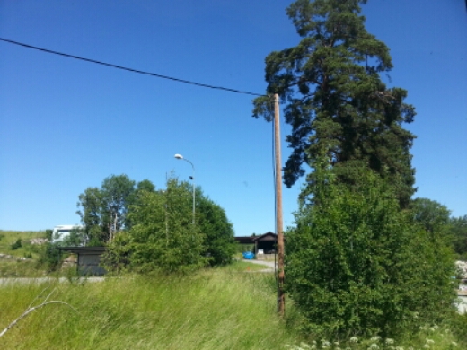 20150702_123711.jpg image