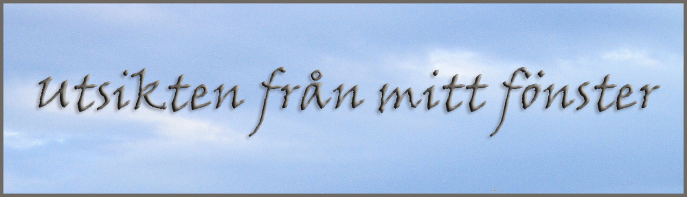 Utsikten från mitt fönster